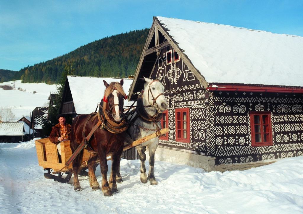 Penzion Javorina Čičmany Esterno foto