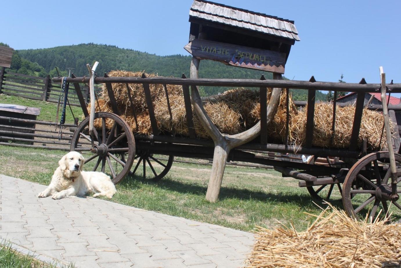 Penzion Javorina Čičmany Esterno foto